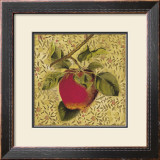 Fruit Panel I Poster by Kris 