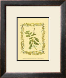 Sage Prints by Wendy Russell