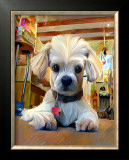 Mazel Dog Prints by Robert Mcclintock
