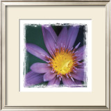 Flower Power IV Prints by Susann & Frank Parker