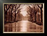 Rainy Day, Central Park Posters by Sergei Beliakov