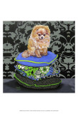 Pomeranian Pillows Print by Carol Dillon