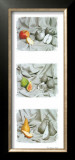 Fruit Trio I Prints by Gilles Martin-Raget