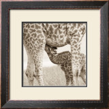 Precious Moments III Posters by Susann & Frank Parker