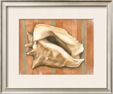 Shell on Stripes I Prints by Laura Nathan
