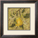 Fruit Panel II Prints by Kris 