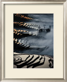 China, Yunnan Rice fields Posters by Yann Layma