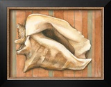 Shell on Stripes I Prints by Laura Nathan