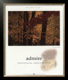 Admire Posters by Francis Pelletier