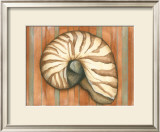 Shell on Stripes IV Art by Laura Nathan