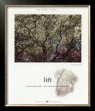 Lift Posters by Francis Pelletier