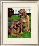 Bloodhounds Prints by Robert Mcclintock