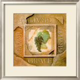 Old America Grape Art by Peter Kelly