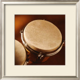 Bongo Prints by Steve Cole