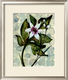 Amazonia IV Prints by Amore 