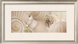 Shells I Prints by Jan Lens