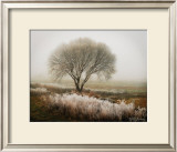 Tranquility I Prints by Vitaly Geyman
