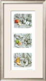 Fruit Trio I Prints by Gilles Martin-Raget