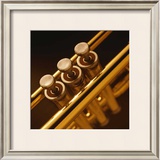 Trumpet II Prints by Steve Cole