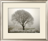 Tranquility II Print by Vitaly Geyman