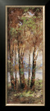 River Birch II Prints by Cory Bannister