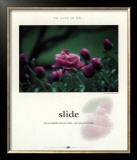 Slide Print by Francis Pelletier