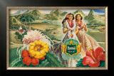 Hawaii USA Poster by Andre 