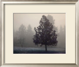 Silent Night Prints by Vitaly Geyman