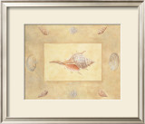 Shells II Prints by Bell 