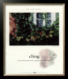 Cling Prints by Francis Pelletier