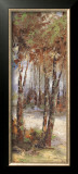 River Birch I Posters by Cory Bannister