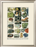 Mineraux I Prints