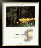 Manage Prints by Francis Pelletier
