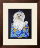 Maltese Clutch Prints by Carol Dillon