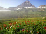 Indian Paintbrush in the Fog at Logan Pass in Glacier National Park, Montana, USA Photographie par Chuck Haney