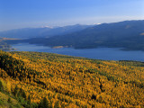 Autumn Larch Trees over Hungry Horse Reservoir, Swan Mts., Hungry Horse Montana, USA Photographic Print by Chuck Haney Autumn Larch Trees over Hungry Horse Reservoir, Swan Mts., Hungry Horse Montana, USA Photographic Print by Chuck Haney