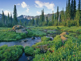 Picnic Creek in the Jewel Basin of the Swan Mountain Range, Montana, USA Photographic Print by Chuck Haney
