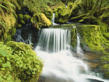 Waterfall in Willamette National Forest, Oregon, USA Photographic Print by Stuart Westmoreland