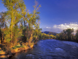 The Gallatin River Near Bozeman, Montana, USA Photographic Print by Chuck Haney