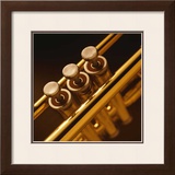 Trumpet II Prints by Steve Cole