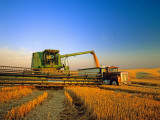 Farmer Unloading Wheat from Combine Near Colfax, Washington, USA Photographic Print by Chuck Haney