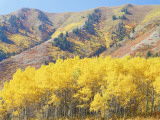 Wellsville Mountains in Autumn, Wasatch-Cache National Forest, Utah, USA Photographic Print by Scott T. Smith