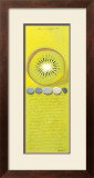 Capecod Kiwi Posters by Chantal Godbout