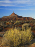 Rabbit Brush and Blackburn on Flats Below North Six-Shooter Peak, Canyonlands National Park, Utah Photographic Print by Scott T. Smith