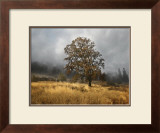 Field of Gold Poster by Vitaly Geyman