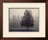 Silent Night Prints by Vitaly Geyman