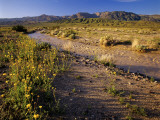 Amargosa River and Owlshead Range in Death Valley National Park, California, USA Photographic Print by Chuck Haney