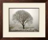 Tranquility II Print by Vitaly Geyman