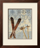 Ski Destinations II Art