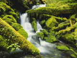 Waterfall over Moss Covered Rock, Olympic National Park, Washington, USA Photographie par Stuart Westmoreland